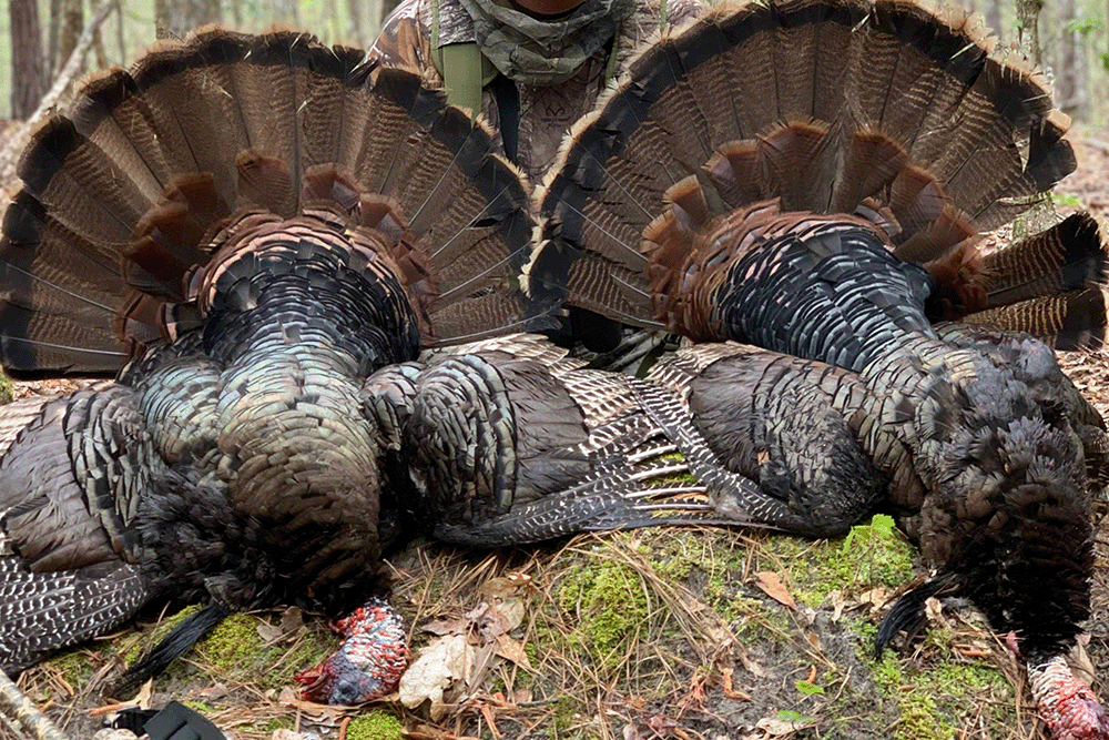 Hunting Charters in SC