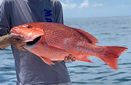 <h1>Off-Shore Fishing</h1>