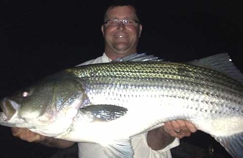 <h1>Striper Fishing</h1>