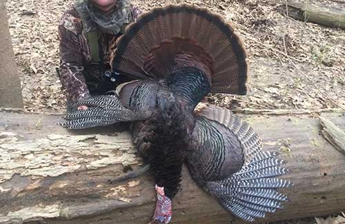 <h1>Turkey Hunting</h1>